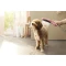 Душевая лейка для собак Hansgrohe DogShower 150 3jet 26640560 - 4