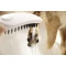 Душевая лейка для собак Hansgrohe DogShower 150 3jet 26640670 - 9