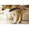 Душевая лейка для собак Hansgrohe DogShower 150 3jet 26640670 - 11
