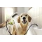 Душевая лейка для собак Hansgrohe DogShower 150 3jet 26640670 - 15